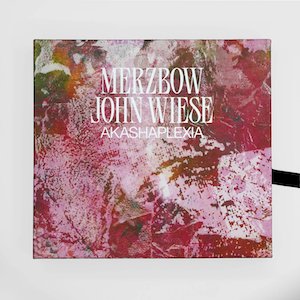 画像3: Merzbow/John Wiese "Akashaplexia" [4CD Box]