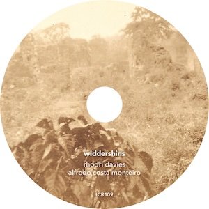 画像2: Rhodri Davies & Alfredo Costa Monteiro "Widdershins" [CD]
