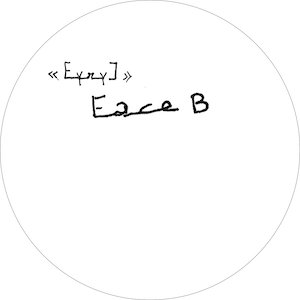 画像4: Anne Gillis "Eyry]" [LP]