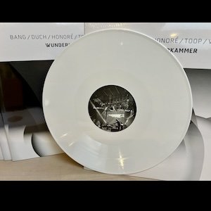 画像2: Bang / Duch / Honoré / Toop / Wastell "Wunderkammer" [White LP]