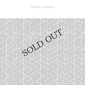 画像1: Virtual Company (Derek Bailey / Will Gaines / Simon H. Fell / Mark Wastell) [CD]