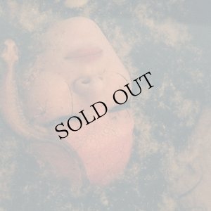 画像1: ju sei "申 (Mousu)" [transparent LP]