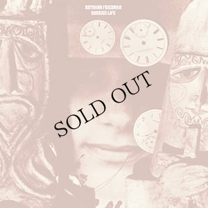 画像1: Ruthann Friedman "Hurried Life : Lost Recordings 1965-1971" [Blue LP]