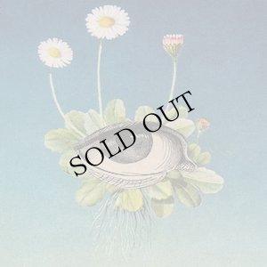 画像1: ojeRum "The Limited Circle Is Pure" [CD]