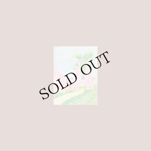 画像1: Acchiappashpirt "Ninulla" [Clear LP]