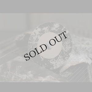 画像4: Minazuki - 水鳴月 "From Dust to Stars - 塵から星へ" [Photobook + CD]