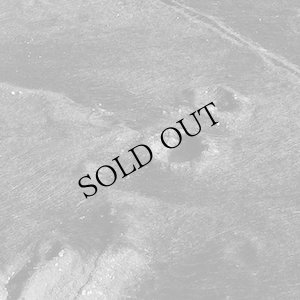 画像1: Ross Bolleter & Eduardo Cossio "Such & Such" [CD]