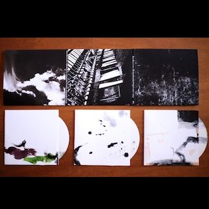 画像2: Ross Bolleter "The Synchronicity Project (2022-2023)" [3CD]