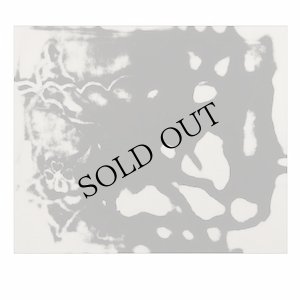 画像1: Margarida Garcia, Manuel Mota "The Figure in the Carpet" [CD]