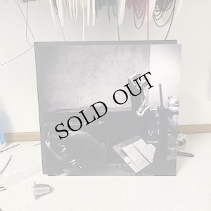 画像2: Anna Hogberg Attack "Ensamseglaren" [LP]