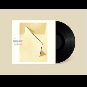 画像2: Giovanni Di Domenico & Rutger Zuydervelt "Painting A Picture / Picture A Painting" [LP]