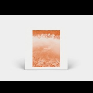 画像2: Brad Rose "The Sound Leaves" [CD]