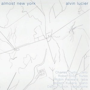 画像1: Alvin Lucier "Almost New York" [2CD]