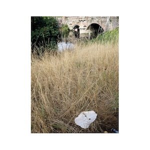 画像1: Germ Lattice "Corpusty" [10"]