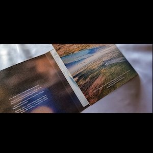 画像2: phoanøgramma "dream flow" [CD]