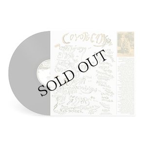 画像2: Rick Deitrick "Coyote Canyon" [LP]