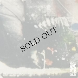 画像2: Randy Greif "It's In A Box" [CD]