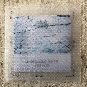 画像2: Maurizio Bianchi "January 2016" [Mini CD-R]
