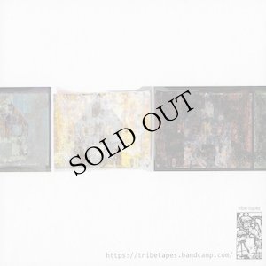 画像2: Das Synthetische Mischgewebe "Greaser in the Ghost Home" [CD]