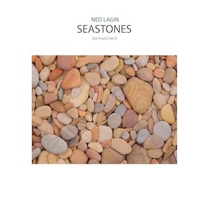 画像1: Ned Lagin "Seastones" [LP]