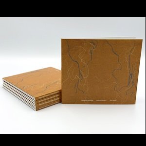 画像2: Marianne Schuppe / Deborah Walker "Two Paths" [CD]