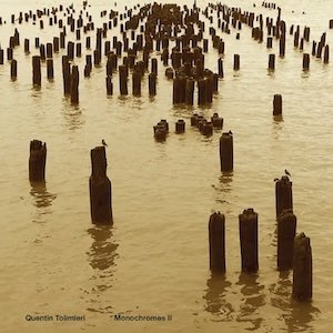 画像1: Quentin Tolimieri "Monochromes II" [3CD]