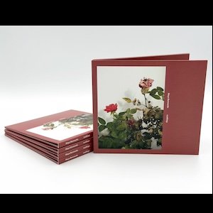 画像2: Maya Bennardo "rustlings" [CD]