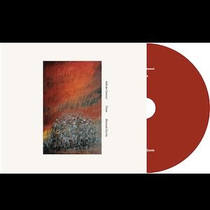 画像2: Adrian Democ (Manuel Zurria) "Flute" [CD]