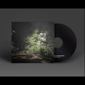 画像2: Nathan Amundson "Things Fall Apart" [CD]