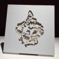 Zoviet France "The Gate Is Open" [180g White LP + 12” + T-Shirt + Tote bag Box Set]