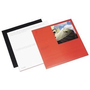 画像2: Francesco Cavaliere "Zoomachia Disc 1" [LP + Book]