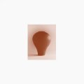 Beatriz Ferreyra "A Distracted God" [Clear LP]