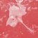 画像1: Celer "Poulaine" [CD] (1)