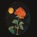 画像3: Henry Kaiser and P.ST "The Wolf at the Door" [2CD] (3)