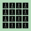 Pamela Z "Simultaneous" [CD]
