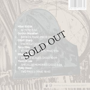 画像2: Miroslav Beinhauer performing Terry Riley, Philip Glass, Milan Knízak, Gordon Monahan... "Pieces for Broken Piano" [CD]