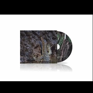 画像2: Mirt • Ter "Mangrove Forest Tides" [CD]