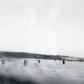 drone "feral" [CD]