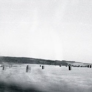 画像1: drone "feral" [CD]