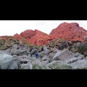 画像5: Elin Mar Oyen Vister "Soundscape Rost – Spaces and Species Vol I" [LP]