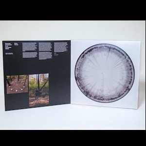画像2: Brian House "Everyday Infrasound In An Uncertain World" [LP]