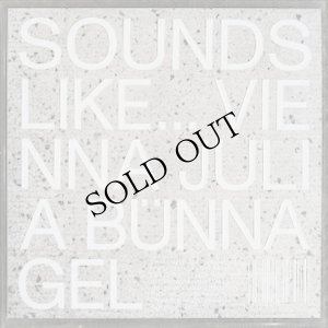 画像1: Julia Bunnagel "Sound Like ... Vienna" [LP]