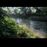 画像4: Magdalena Manderlova "Kozmicke louky" [LP] (4)