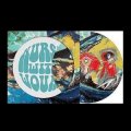 Nurse With Wound "Chromanatron" [Picture LP]