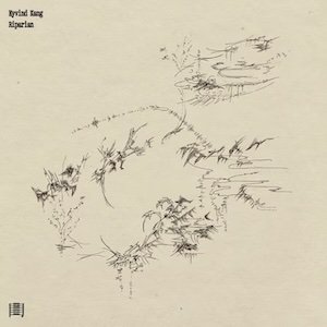 画像2: Eyvind Kang "Riparian" [LP]