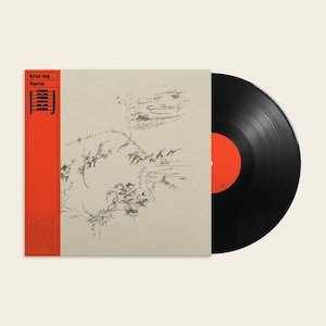 画像1: Eyvind Kang "Riparian" [LP]