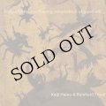 Keiji Haino & Reinhold Friedl "truly, slightly, overflowing, whereabout of good will" [LP]