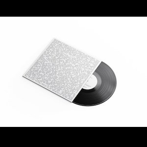 画像2: Ben Vida "Oblivion Seekers" [LP]