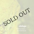 Matthias Kaiser & Reinhold Friedll "ololuge" [CD]
