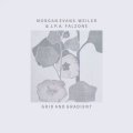 Morgan Evans-Weiler & J. P. A. Falzone "Grid and Gradient" [CD]